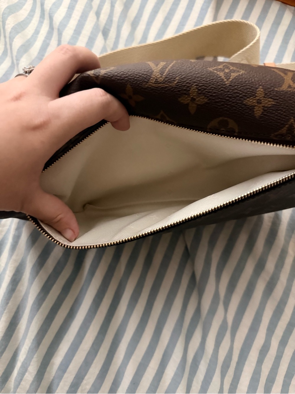 Louis Vuitton Monogram Crossbody Belt Bag - Brown/Beige - Picture 4 of 7
